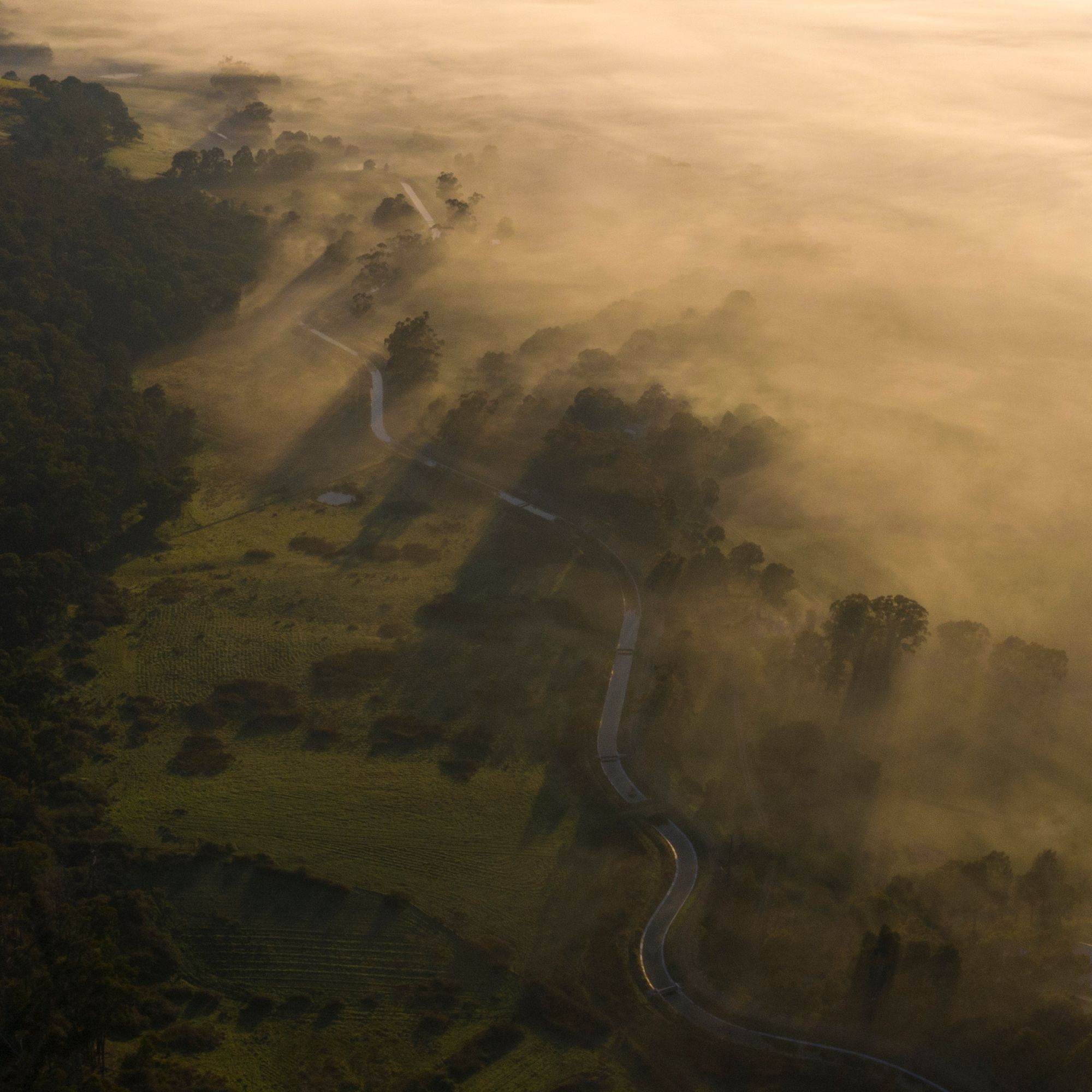 yarra valley